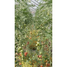 Prepare your Garden for Next Year with Ingrid Foley - Saturday 25th November 2023